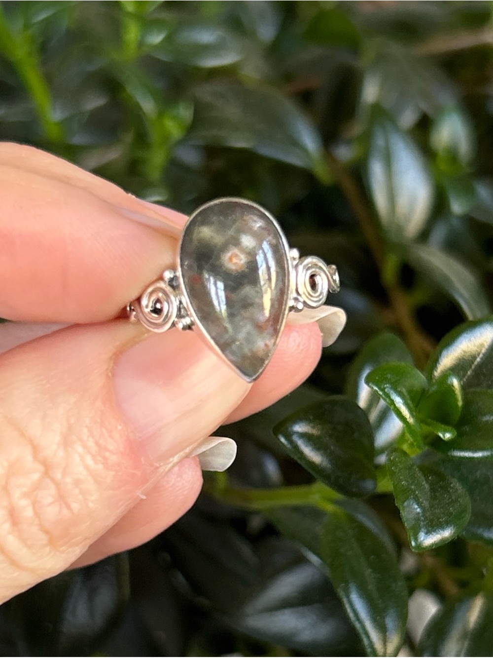 Sterling Silver and Ocean Jasper Ring
